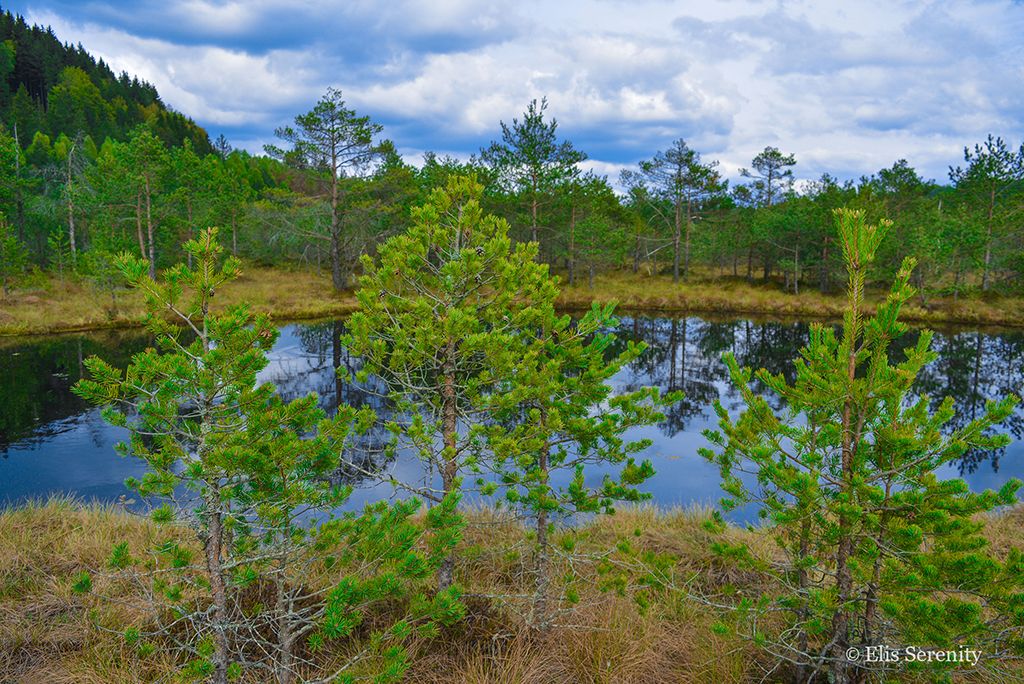 Lake Sfânta Ana - Wonders of Transylvania